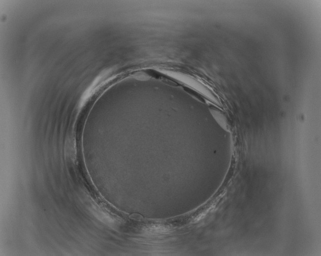 X0000063460198200601271613