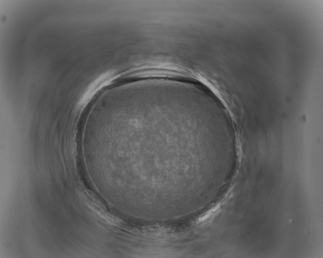 X0000063460199200601271613