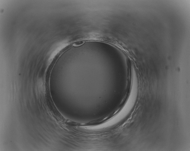 X0000063460200200601271613