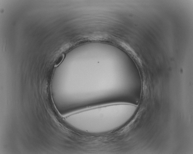 X0000063460201200601271613