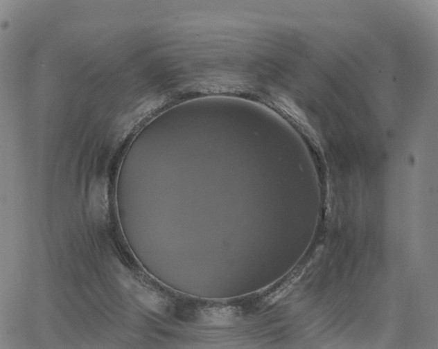 X0000063460202200601271613