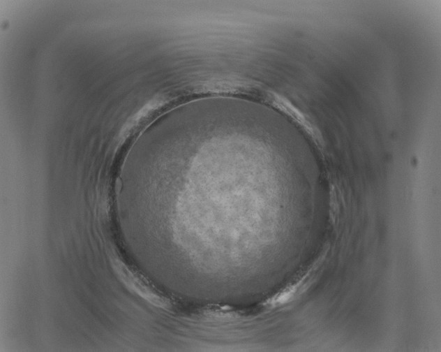 X0000063460203200601271613