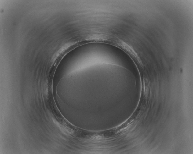 X0000063460204200601271613