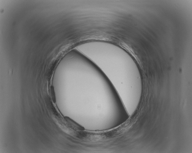 X0000063460205200601271613