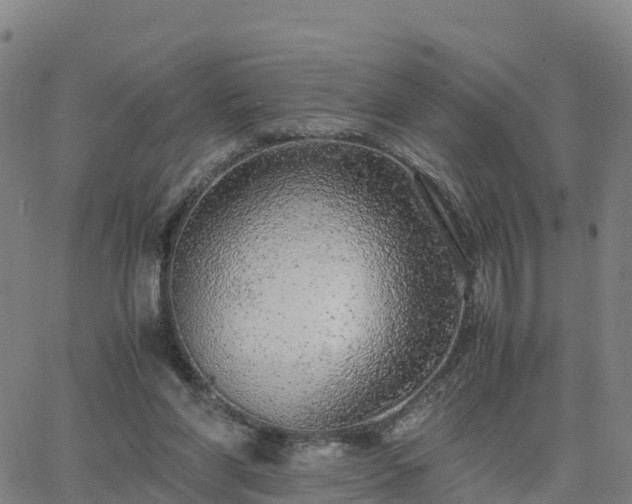 X0000063460206200601271613