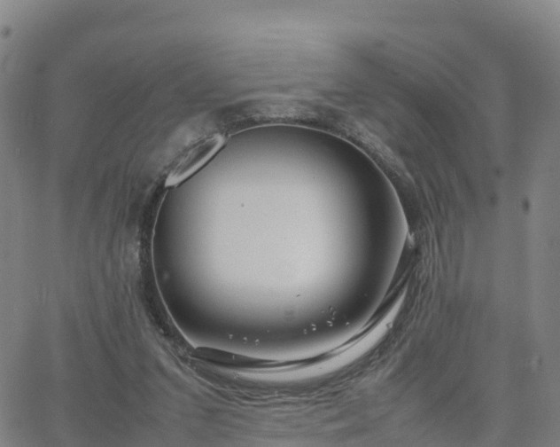 X0000063460207200601271613