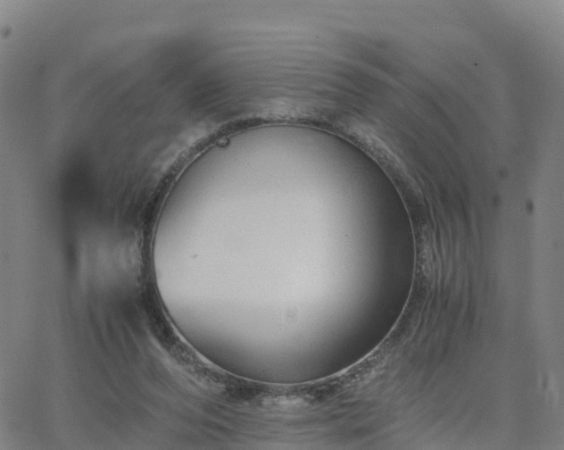 X0000063460208200601271613