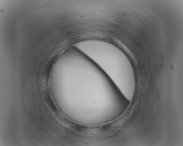 X0000063460209200601271612