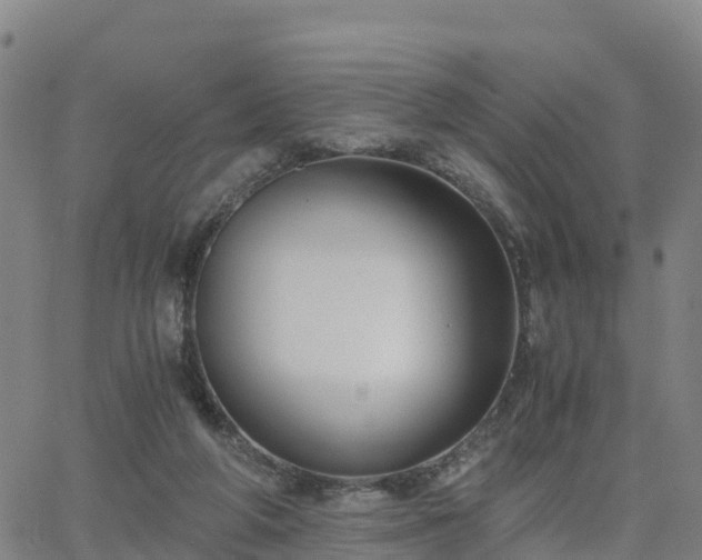 X0000063460210200601271612