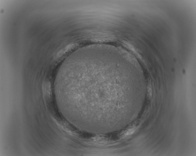 X0000063460211200601271612