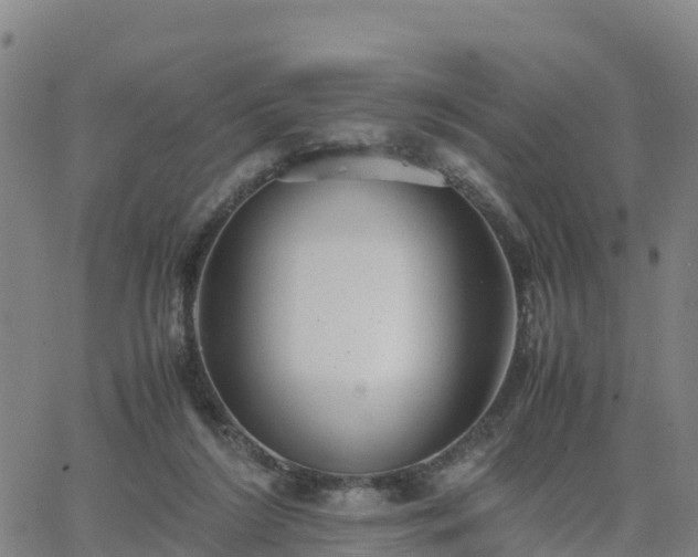 X0000063460212200601271612