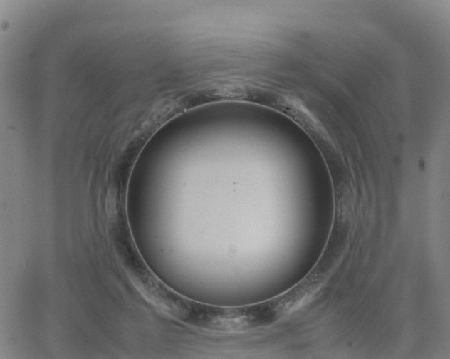 X0000063460213200601271612