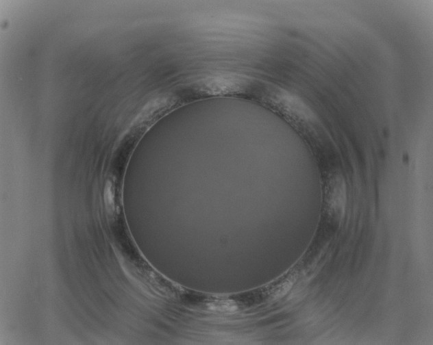 X0000063460214200601271612