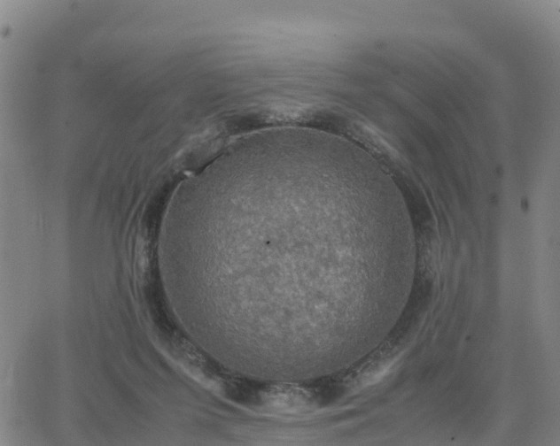 X0000063460215200601271612