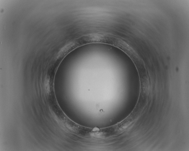 X0000063460216200601271612