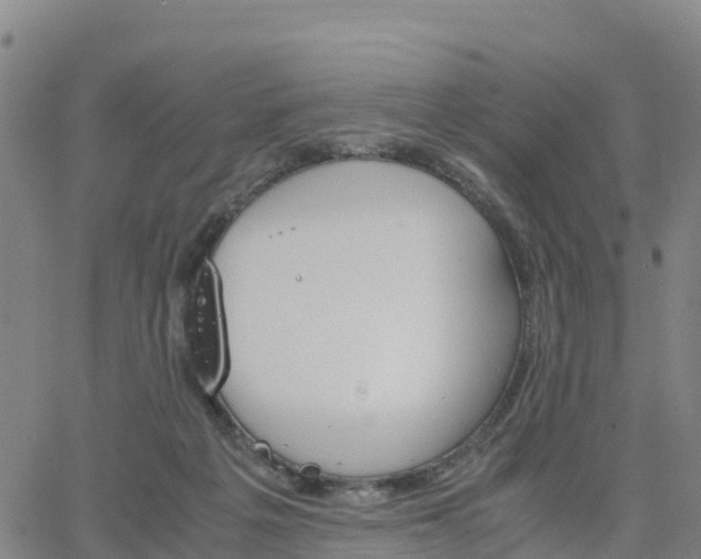 X0000063460217200601271612