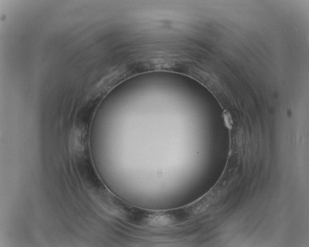 X0000063460218200601271612