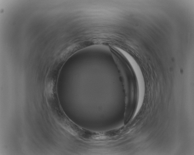 X0000063460219200601271612