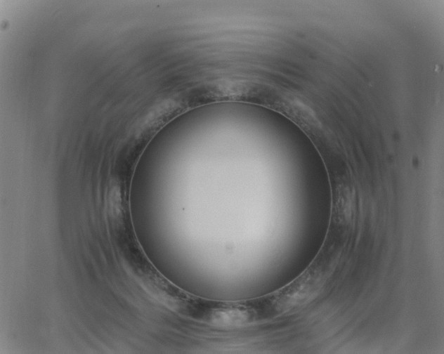 X0000063460220200601271612