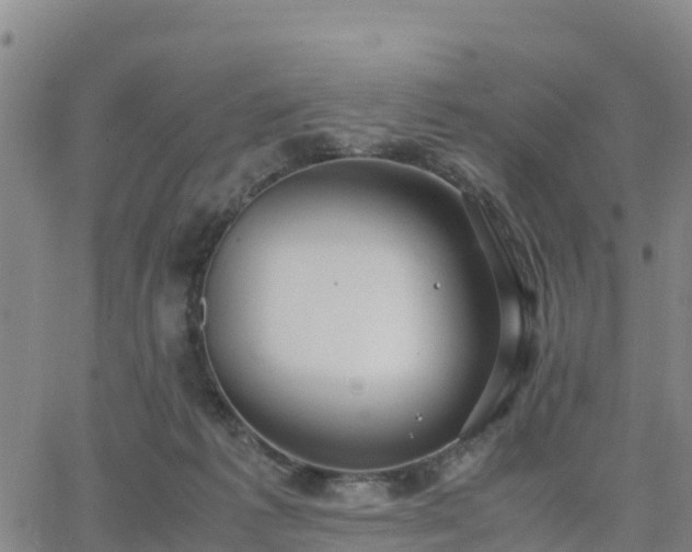 X0000063460221200601271612