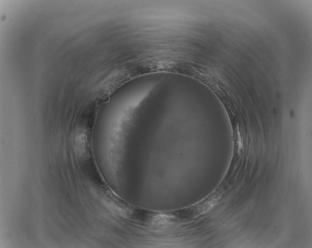 X0000063460222200601271612