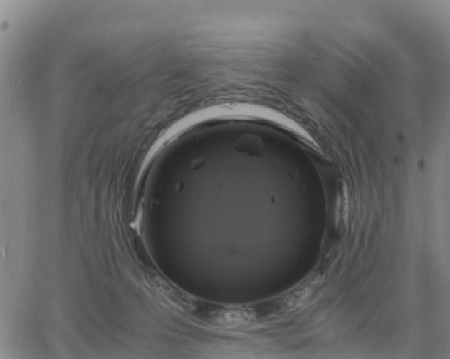 X0000063460223200601271612