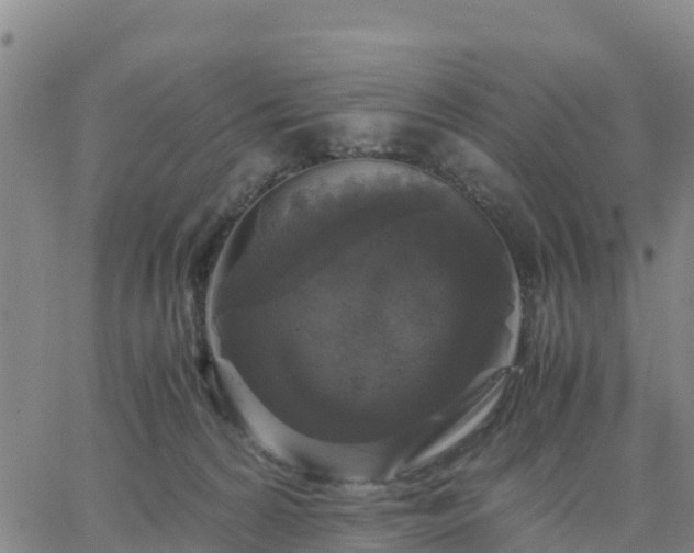 X0000063460224200601271612