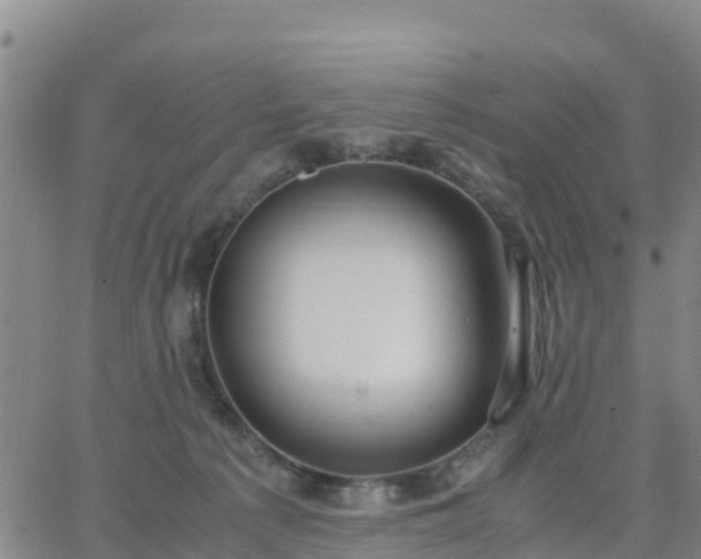 X0000063460225200601271612