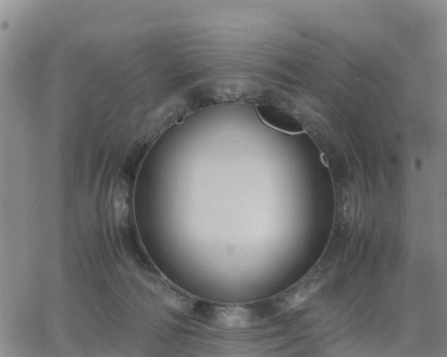 X0000063460226200601271612