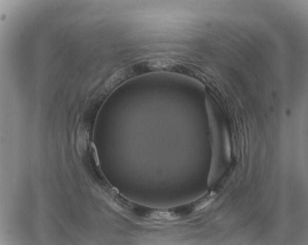 X0000063460227200601271612