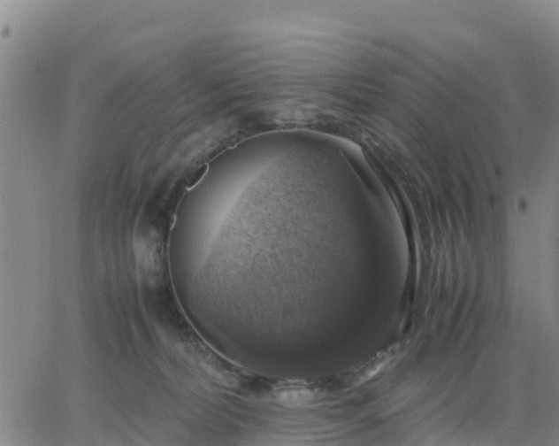 X0000063460228200601271612