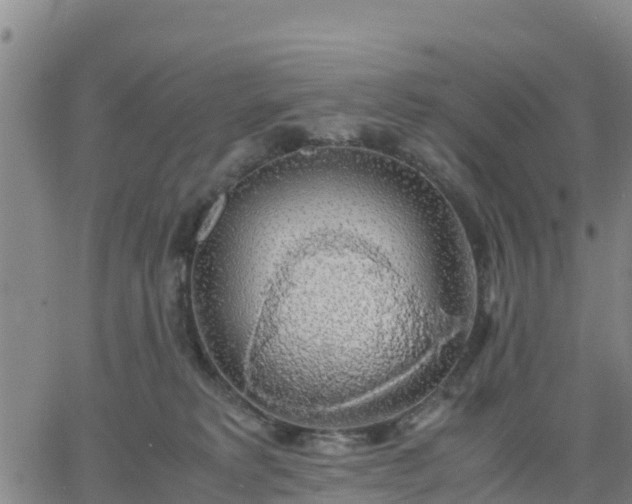 X0000063460229200601271612