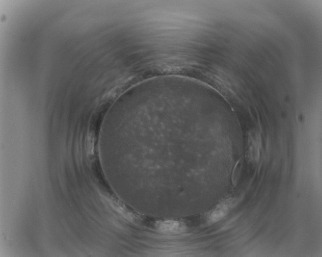 X0000063460230200601271612