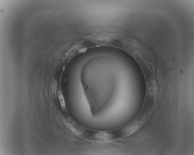 X0000063460231200601271612