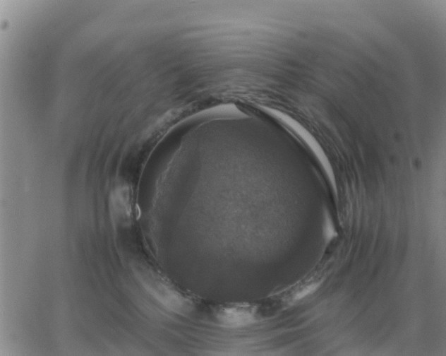 X0000063460232200601271612