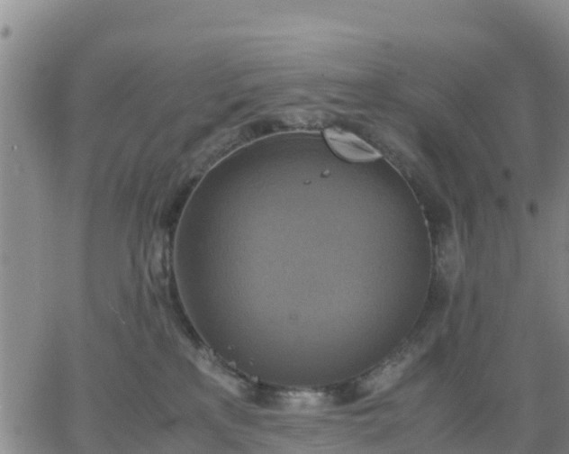 X0000063460233200601271612