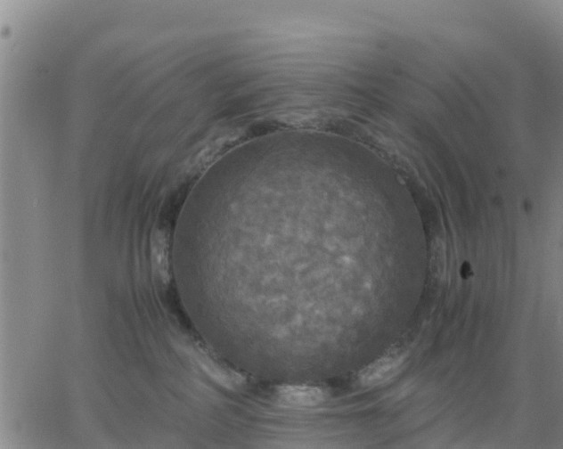 X0000063460234200601271612