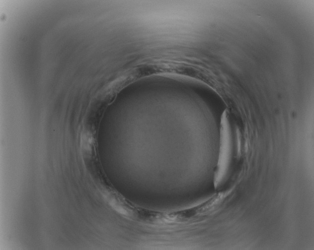 X0000063460235200601271612