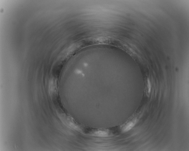 X0000063460236200601271612