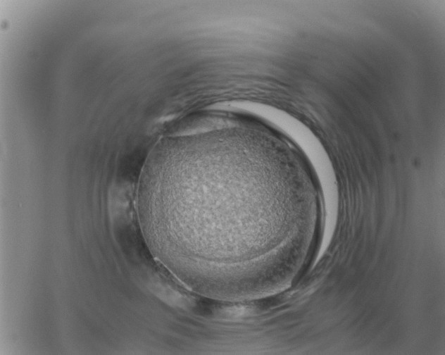 X0000063460237200601271612