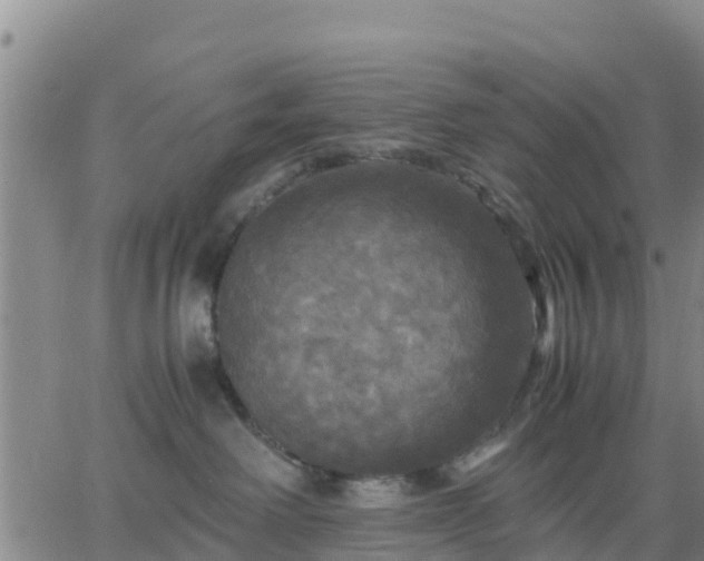 X0000063460238200601271612