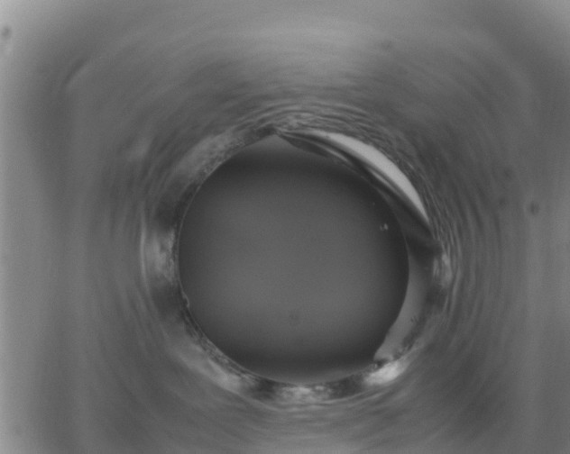 X0000063460239200601271612