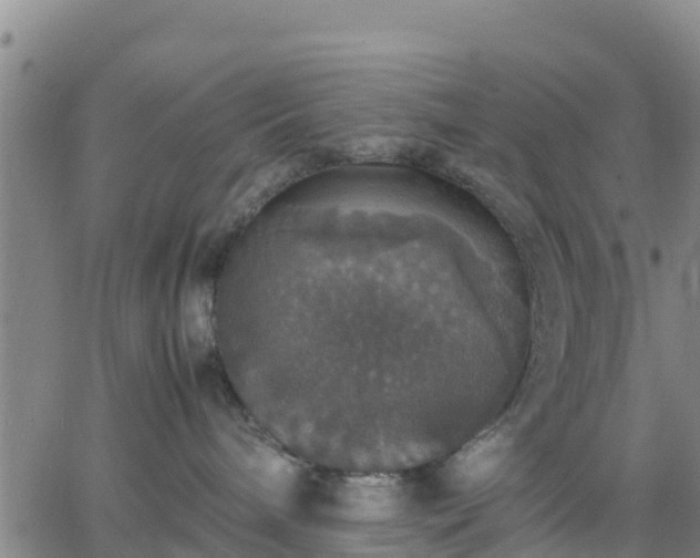 X0000063460240200601271612