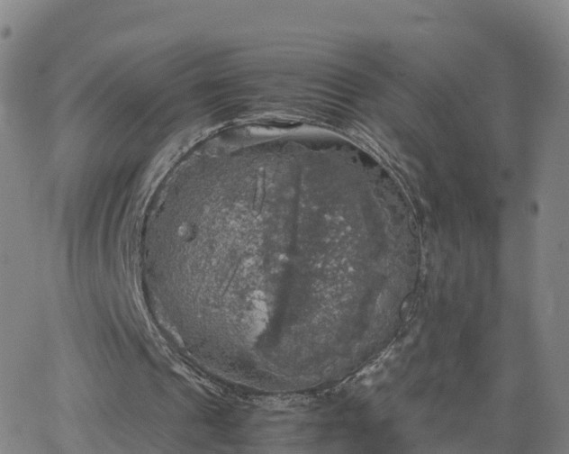 X0000063460241200601271611