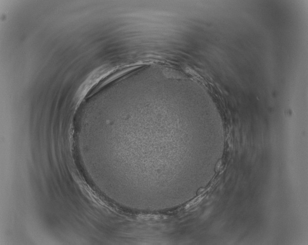 X0000063460242200601271611