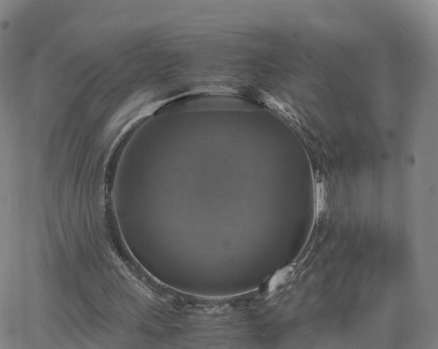 X0000063460243200601271611