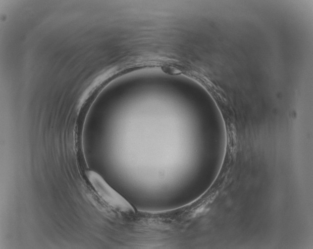 X0000063460244200601271611