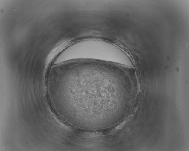 X0000063460245200601271611