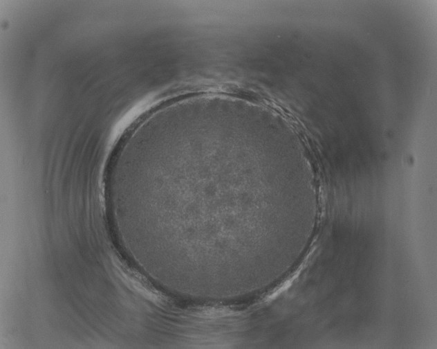 X0000063460246200601271611