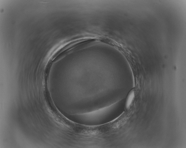 X0000063460247200601271611